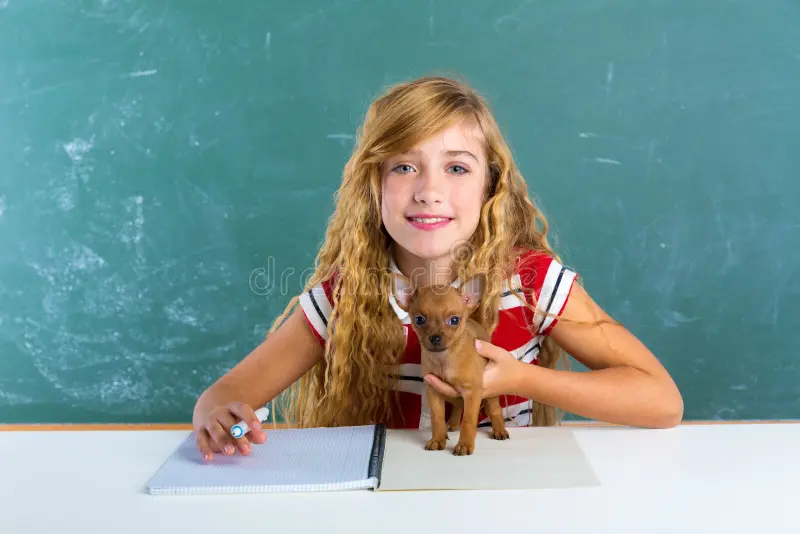 Young pet caregiver holding a small dog